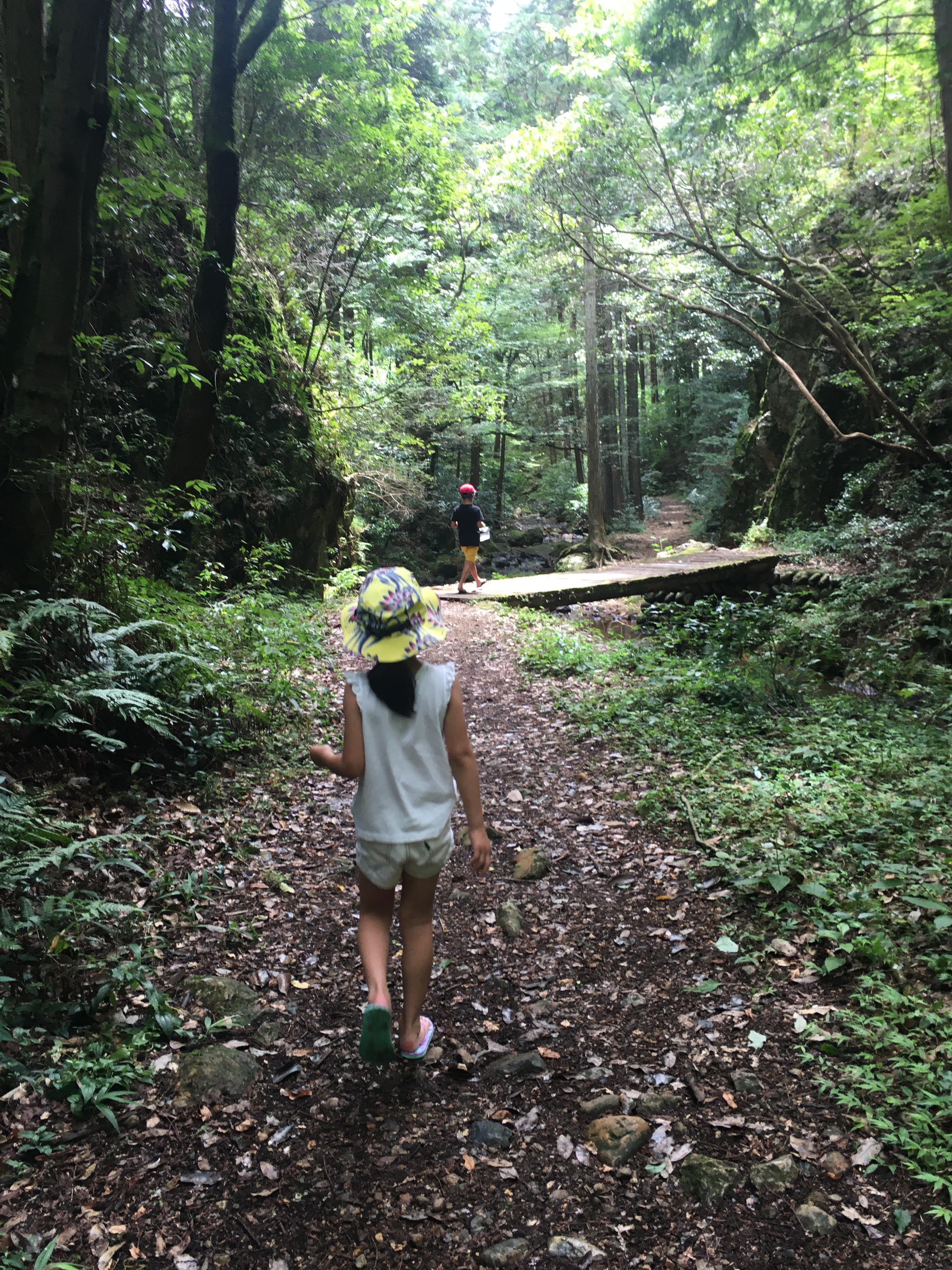yokoi_s